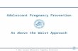 Adolescent Pregnancy Prevention An Above the Waist Approach © 2013 Carrera Adolescent Pregnancy Prevention Program.