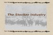 The Stocker Industry The Beef Industry Demand Marketing System Production.