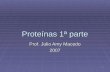1 Proteínas 1ª parte Prof. Julio Amy Macedo 2007.