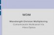 WDM Wavelength Division Multiplexing Comunicación Multicanal Vía Fibra Óptica.
