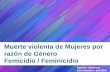 Muerte violenta de Mujeres por razón de Género Femicidio / Feminicidio 1 Patricia Olamendi Coordinadora del CEVI.