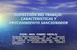 INSPECCIÓN DEL TRABAJO: CARACTERISTICAS Y PROCEDIMIENTO SANCIONADOR MIGUEL ANGEL PAREDES PORTALES Abogado-Representante de la Central Autónoma de Trabajadores.