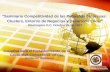 Iniciativa para el Fortalecimiento de la Capacidad Competitiva (IFCC) Guillermo Abaracon “Seminario Competitividad de las Pequeñas Empresas: Clusters,