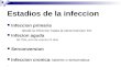 Estadios de la infeccion Infeccion primaria desde la infeccion hasta la serocnversion 6m Infecion aguda 50-70%, pico de viremia 21 dias Serconversion Infeccion.