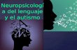 { Neuropsicología del lenguaje y el autismo. Procesos cognitivos Base neurológica Conductas observables Relación que implica…