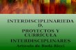 INTERDISCIPLINARIEDAD, PROYECTOS Y CURRÍCULA INTERDISCIPLINARES Artículo de Rudá Ricci.