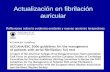 Actualización en fibrilación auricular Segovia, 23 de Enero de 2008 Reflexiones sobre la evidencia existente y nuevas opciones terapeúticas.