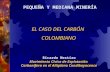 PEQUEÑA Y MEDIANA MINERÍA EL CASO DEL CARBÓN COLOMBIANO Ricardo Mestizo Movimiento Cívico de Explotación Carbonífera en el Altiplano Cundiboyacence.