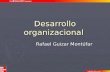 Desarrollo organizacional Rafael Guizar Montúfar.