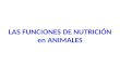 LAS FUNCIONES DE NUTRICIÓN en ANIMALES. FUNCIÓN DIGESTIVA.