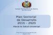 Plan Sectorial de Desarrollo 2010 – 2020 Hacia la Salud Universal Estado Plurinacional de Bolivia SECTOR SALUD Dirección General de Planificación Agosto.