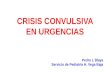 CRISIS CONVULSIVA EN URGENCIAS Pedro L Blaya Servicio de Pediatría H. Vega Baja.