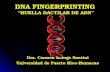 DNA FINGERPRINTING DNA FINGERPRINTING “HUELLA DACTILAR DE ADN” Dra. Carmen Baerga Santini Universidad de Puerto Rico-Humacao.