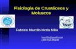 Fisiología de Crustáceos y Moluscos Fabrizio Marcillo Morla MBA barcillo@gmail.com (593-9) 4194239.