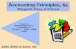 A ccounting Principles, 6e Weygand, Kieso, & Kimmel John Wiley & Sons, Inc. Prepared by Marianne Bradford, Ph. D. Translation by Victor L Rios MBA UMET.