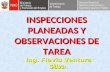 INSPECCIONES PLANEADAS Y OBSERVACIONES DE TAREA 2011 Ing. Flavio Ventura Silva.