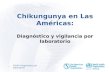 Chikungunya en Las Américas: Chikungunya en Las Américas: Diagnóstico y vigilancia por laboratorio 0 CHIKV Diagnóstico por laboratorio.