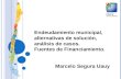 Endeudamiento municipal, alternativas de solución, análisis de casos. Fuentes de Financiamiento. Marcelo Segura Uauy.