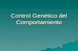 Control Genético del Comportamiento. Control del Comportamiento Comportamiento Genética Ambiental Ontogenia del Individuo.