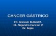 CANCER GÁSTRICO Int. Gonzalo Bullard R. Int. Alejandro Cancino V. Dr. Rojas.