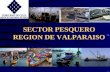 SECTOR PESQUERO REGION DE VALPARAISO. Sector Pesquero Artesanal.