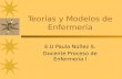 Teorías y Modelos de Enfermería E.U Paula Núñez S. Docente Proceso de Enfermería I.
