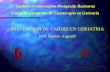 Geriatri-Fisioterapian Postgradu Ikastaroa Curso de postgrado de Fisioterapia en Geriatría PREVENCION DE CAIDAS EN GERIATRIA Prof. Ramon Aiguadé.