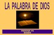 MENSAJE #5 ÉXODO LA PALABRA DE DIOS Cuenta con 40 capítulos. Éxodo significa "salida".