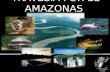 TRAVESIA POR EL AMAZONAS. ADRIANA RODRIGUEZ LUIS EDUARDO PARRADO AUDREY HERNANNDEZ.