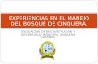 ASOCIACION DE RECONSTRUCION Y DESARROLLO MUNICIPAL CINQUERA CABAÑAS. EXPERIENCIAS EN EL MANEJO DEL BOSQUE DE CINQUERA.