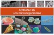 UNIDAD 16 Los microorganismos. Recursos para la explicación de la unidad Características de los microorganismos Tipos de microorganismos BacteriasEstructura.