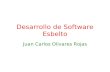Desarrollo de Software Esbelto Juan Carlos Olivares Rojas.