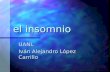 El insomnio UANL Iván Alejandro López Carrillo. Índice ¿Qué es el insomnio? ¿Qué es el insomnio? ¿Cuáles son los causantes del insomnio? ¿Cuáles son los.