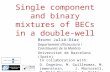 Single component and binary mixtures of BECs in a double-well Bruno Juliá-Díaz Departament d’Estructura i Constituents de la Matèria Universitat de Barcelona.