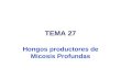 TEMA 27 Hongos productores de Micosis Profundas. Micosis profundas por hongos oportunistas Levaduras: Género Candida: - C. albicans Hongos filamentosos: