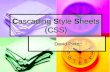 Cascading Style Sheets (CSS) David Pinto. Web Standards XHTML 1.0 or higher XHTML 1.0 or higher CSS Level 1 & CSS Level 2 CSS Level 1 & CSS Level 2 DOM.