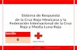 CRUZ ROJA MEXICANA Sistema de Respuesta de la Cruz Roja Mexicana y la Federación Internacional de la Cruz Roja y Media Luna Roja Lección 6 Rev 10-2009Introducción.