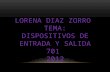 LORENA DIAZ ZORRO TEMA: DISPOSITIVOS DE ENTRADA Y SALIDA 701 2012.