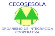 CECOSESOLA ORGANISMO DE INTEGRACIÓN COOPERATIVA Fundada en 1967 NOS INTEGRAMOS Servicio Funerario Apoyo Mutuo Escuela Cooperativa Red de Salud Otros.