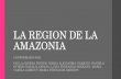 LA REGION DE LA AMAZONIA CONFORMADO POR: PAULA ANDREA PINZON- MARIA ALEJANDRA VASQUEZ- DANIELA OVIEDO-NATALIA ZAPATA- LUISA FERNANDA SERRANO- MARIA CAMILA.