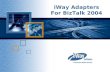 Copyright © 2001 iWay Software 1 iWay Adapters For BizTalk 2004.