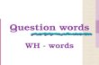 Question words WH - words. WHO? ¿Quién? WHERE? ¿Dónde?
