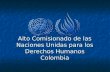 Alto Comisionado de las Naciones Unidas para los Derechos Humanos Colombia.