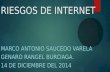 RIESGOS DE INTERNET MARCO ANTONIO SAUCEDO VARELA GENARO RANGEL BURCIAGA. 14 DE DICIEMBRE DEL 2014.