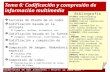 TECNOLOGÍAS DE RED AVANZADAS – Master IC 2008-2009 –  Tema 6: Codificación y compresión de información multimedia