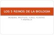 MONERA, PROTISTA, FUNGI, PLANTAE Y ANIMALIA LOS 5 REINOS DE LA BIOLOGIA.