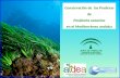 Conservación de las Praderas de Posidonia oceanica en el Mediterráneo andaluz.