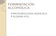 FERMENTACIÓN ALCOHÓLICA MICROBIOLOGÍA AGRÍCOLA ALDANA KEIL.