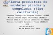 Planta productora de verduras picadas y congeladas (Tipo california) Vanessa Concepción Borquez Sedano 101000 Merari Noemí López Hernández 10100324 Marcos.