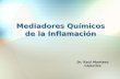 Dr. Raúl Montero Cajavilca Mediadores Químicos de la Inflamación.